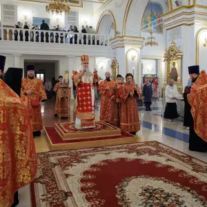 AGR_5508 копия