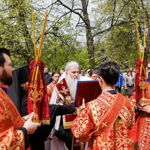 AGR_5779 копия