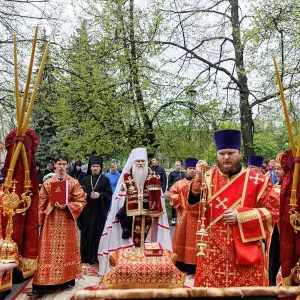 AGR_5939 копия