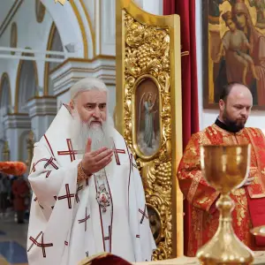 AGR_6363 копия