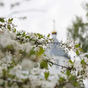 AGR_7417 копия