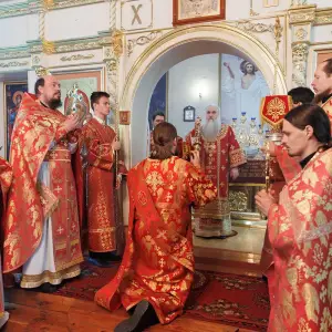 AGR_8482 копия