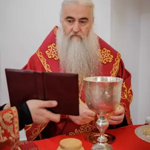 AGR_8558 копия