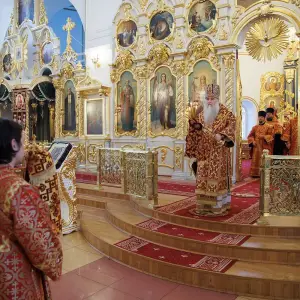 AGR_9299 копия