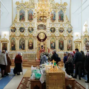 AGR_9562 копия