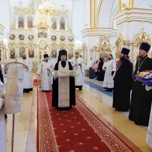 AGR_0882 копия