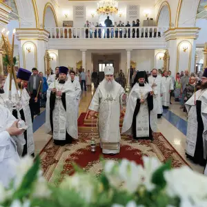 AGR_1558 копия