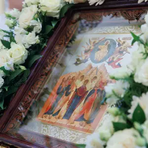 AGR_1786 копия