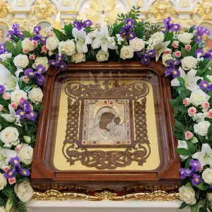 AGR_2691 копия