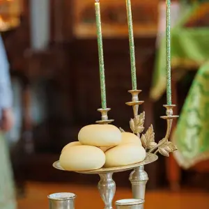 AGR_2955 копия