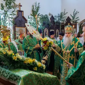AGR_3355 копия
