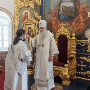 AGR_3520 копия