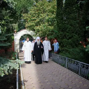AGR_3558 копия