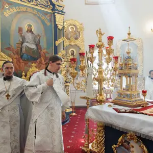 AGR_4202 копия