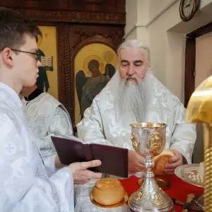 AGR_4521 копия