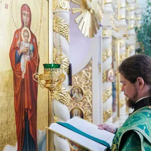 AGR_5586 копия