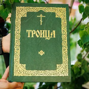 AGR_6293 копия