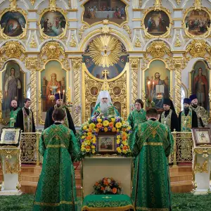 AGR_6464 копия