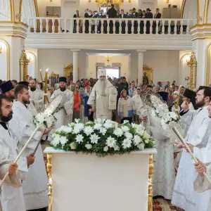 AGR_6495 копия