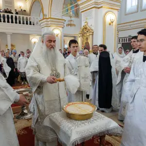 AGR_6567 копия