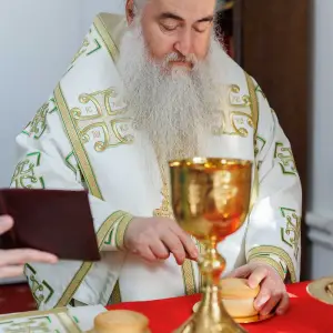 AGR_7869 копия