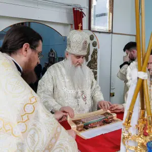 AGR_7881 копия