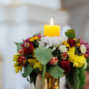 AGR_8386 копия