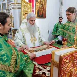 AGR_8483 копия