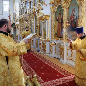 AGR_8658 копия