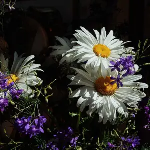 AGR_7303 копия