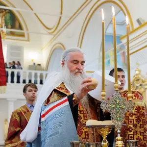 AGR_8619 копия