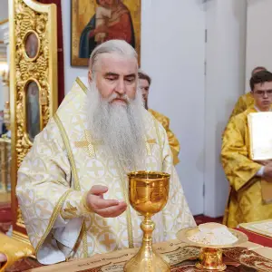 AGR_8685 копия