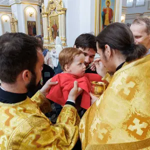 AGR_8856 копия