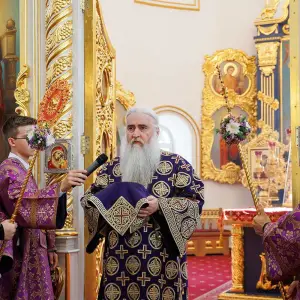 AGR_1531 копия