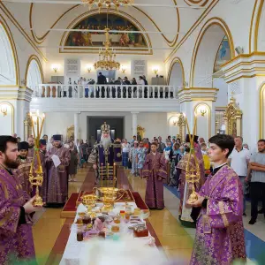 AGR_2244 копия