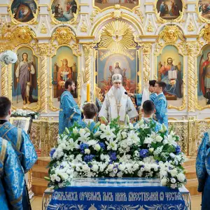 AGR_2362 копия