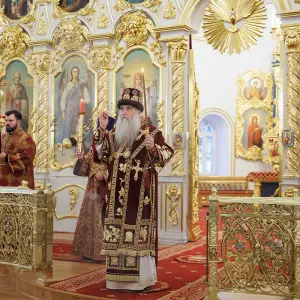 AGR_0306 копия