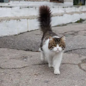 AGR_0348 копия