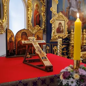 AGR_2038 копия