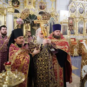 AGR_3463 копия