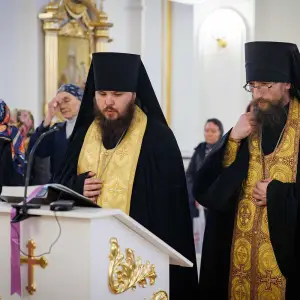 AGR_4376 копия