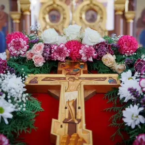 AGR_4765