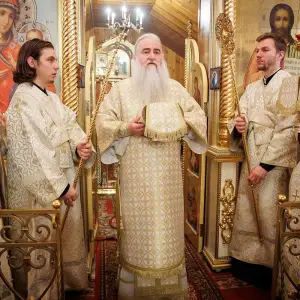 AGR_7429 копия