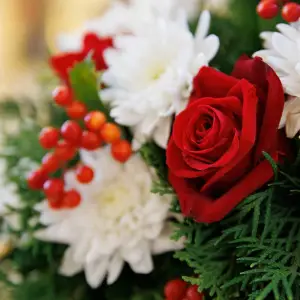 AGR_9496 копия