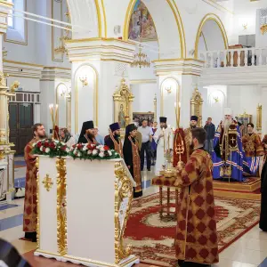 AGR_9831 копия
