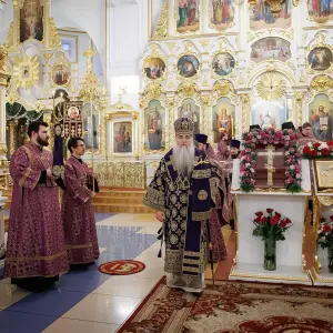 AGR_1164 копия