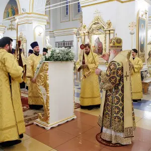 AGR_1223 копия