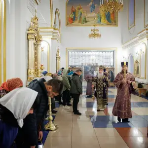 AGR_1372 копия