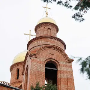 AGR_1951 копия