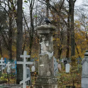 AGR_2023 копия